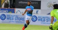 insigne_1.jpg